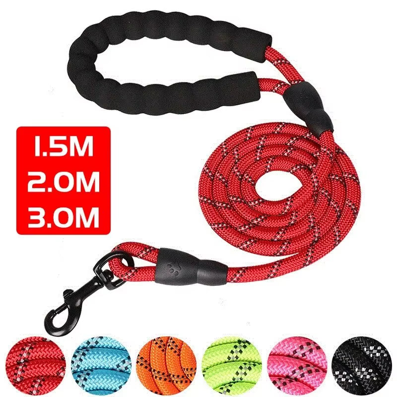 Padded Handle Reflective Leash – Built for Strong Dogs